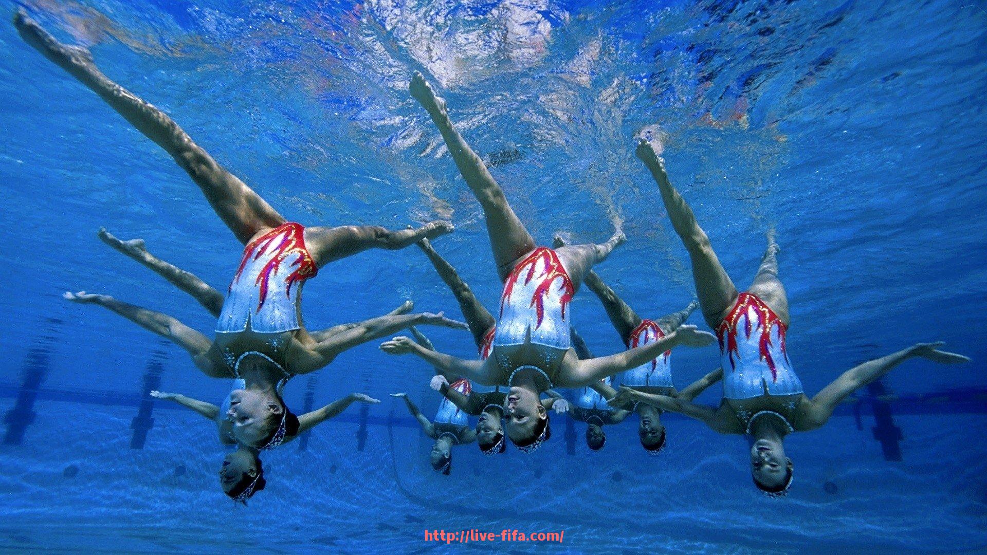 世俱杯直播-法甲主场记录保持者名单与战绩详情